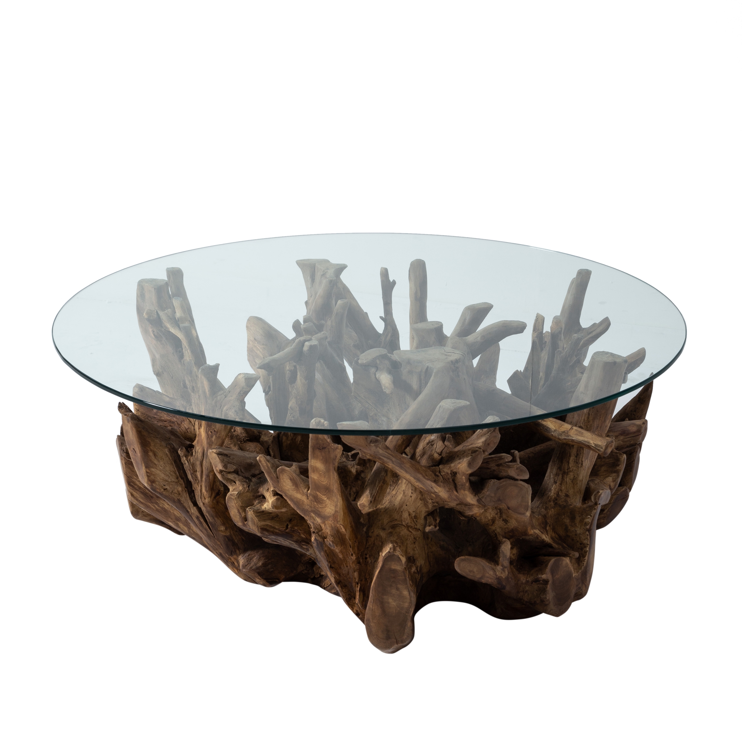 SPIDER KAHVE SEHPASI