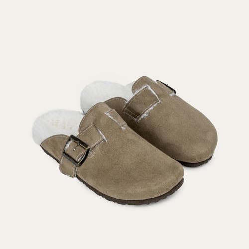  PELÜŞ EV TERLİĞİ