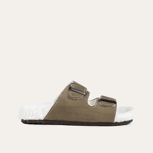  PELÜŞ EV TERLİĞİ