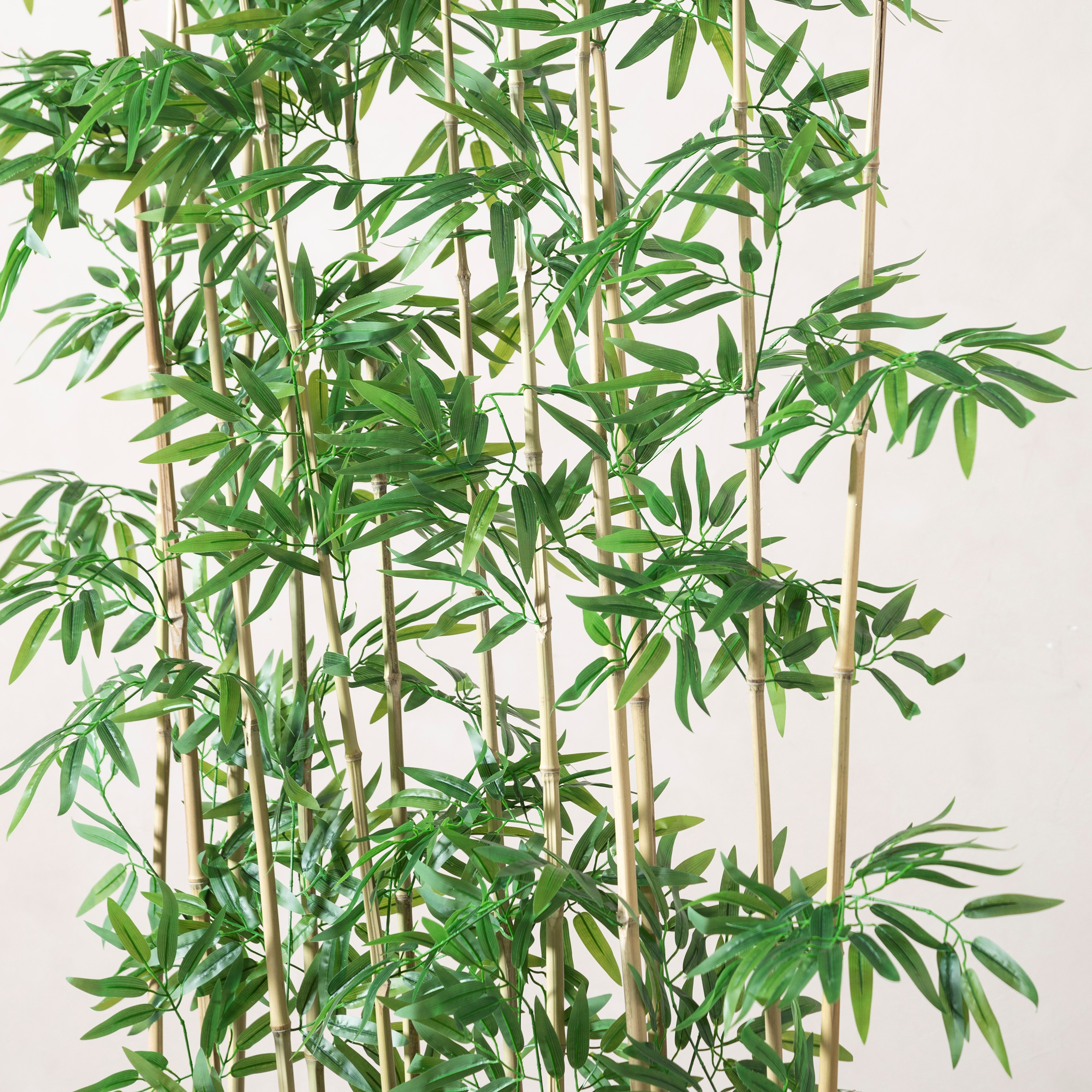 FORIO NATURAL PARAVAN