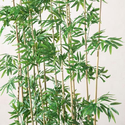  FORIO NATURAL PARAVAN