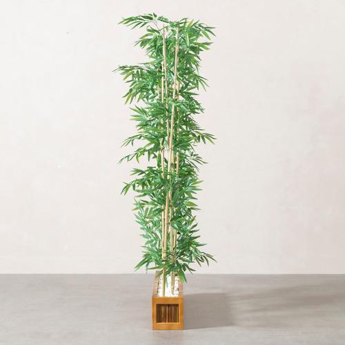  FORIO NATURAL PARAVAN