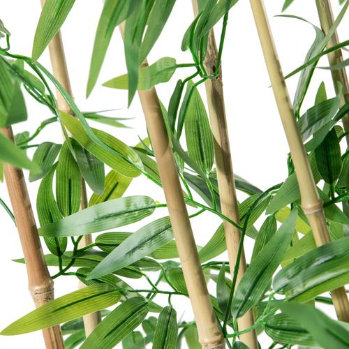  FORIO NATURAL PARAVAN