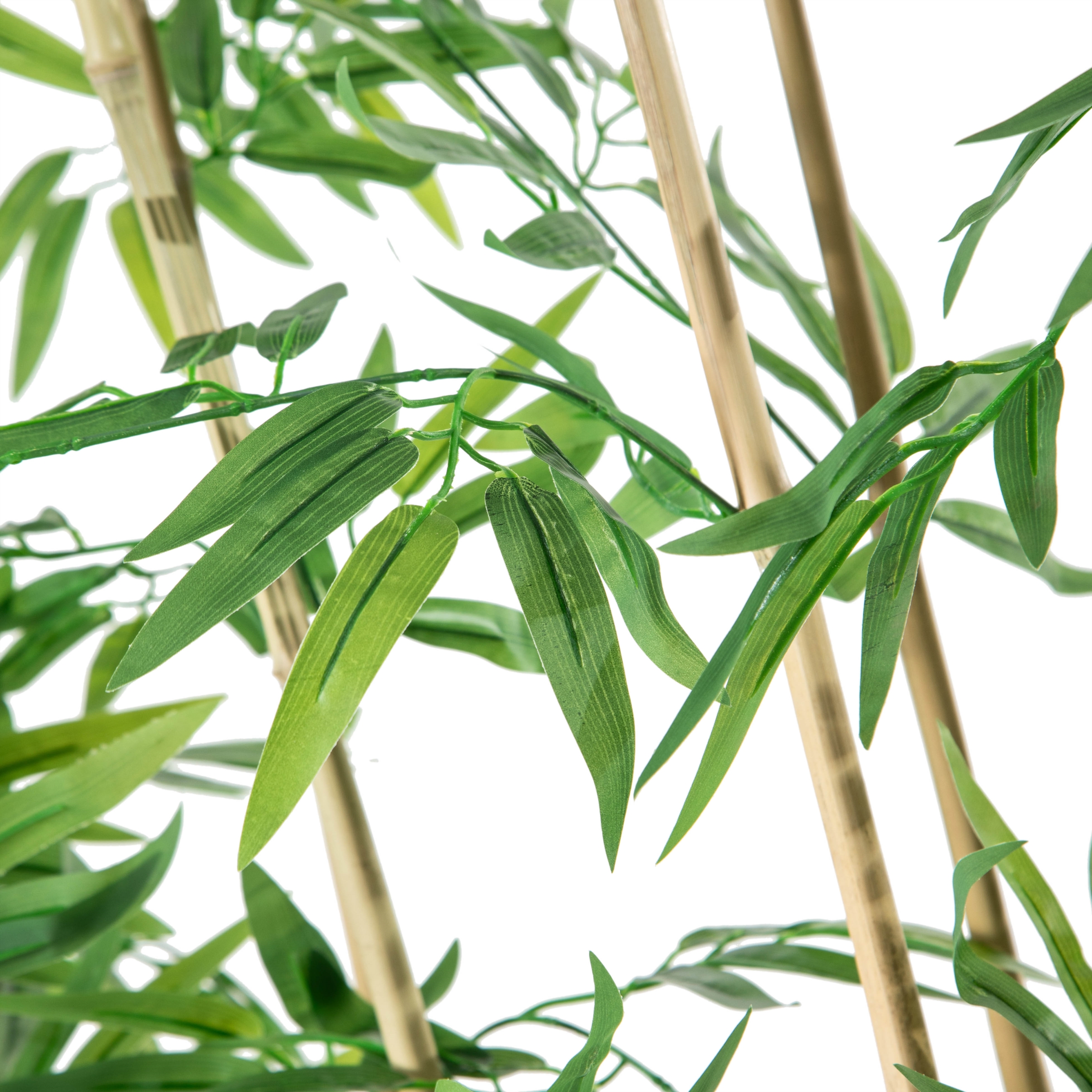 FORIO NATURAL PARAVAN