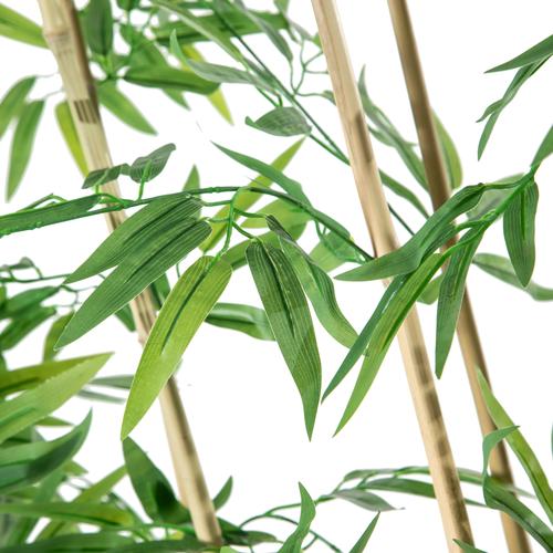  FORIO NATURAL PARAVAN