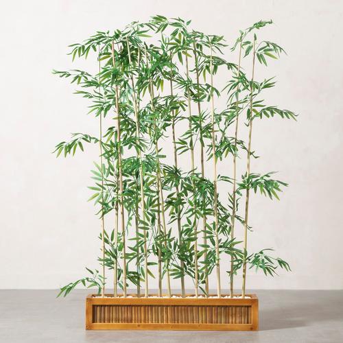  FORIO NATURAL PARAVAN