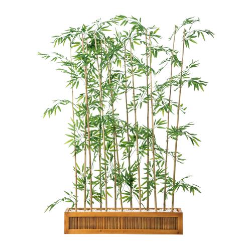  FORIO NATURAL PARAVAN