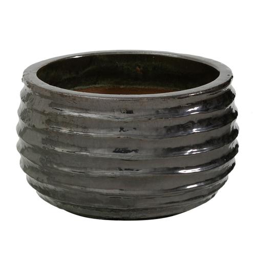  GIANG SAKSI 49X29 CM