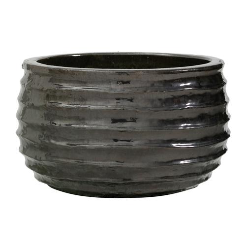  GIANG SAKSI 49X29 CM