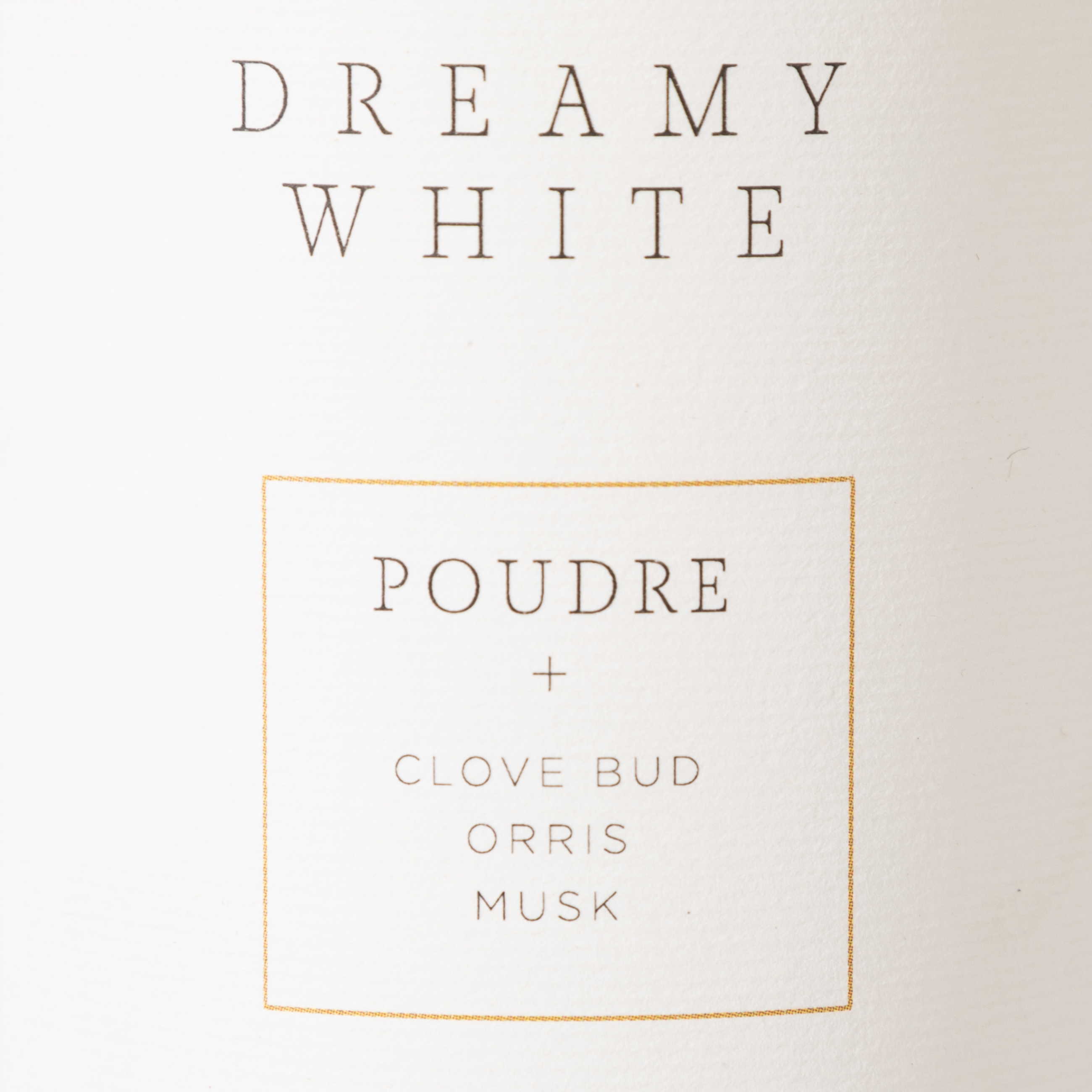 DREAMY WHITE ODA SPREYİ POUDRE 340 ML