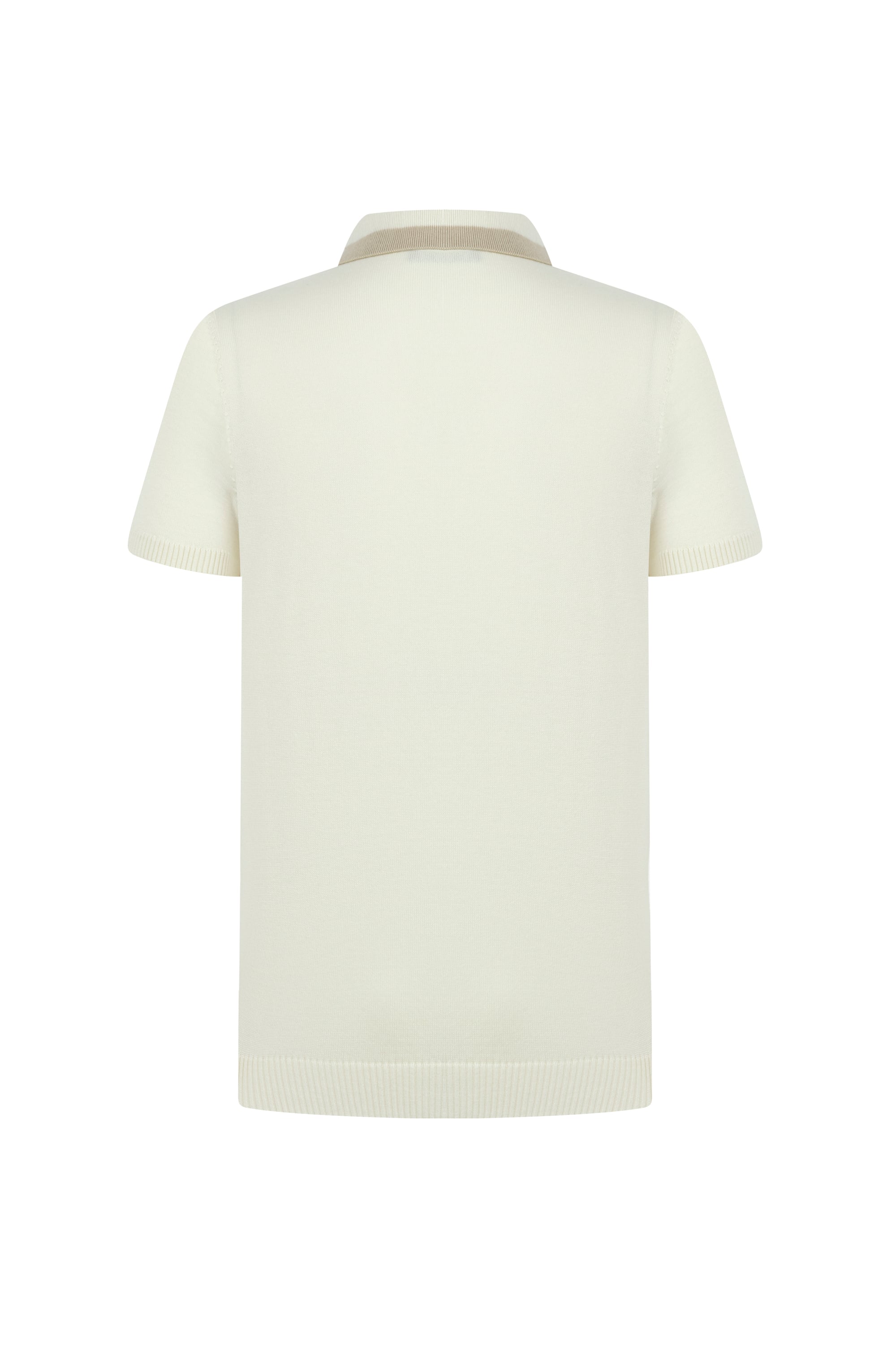 RENK BLOKLU POLO YAKA KISA KOLLU TRİKO