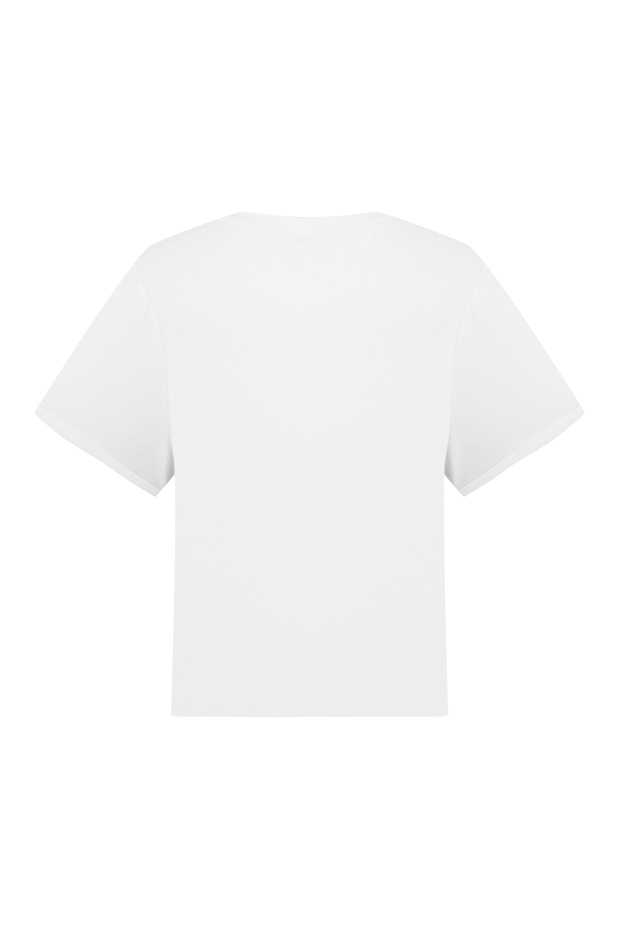 KISA KOLLU CROP T-SHIRT