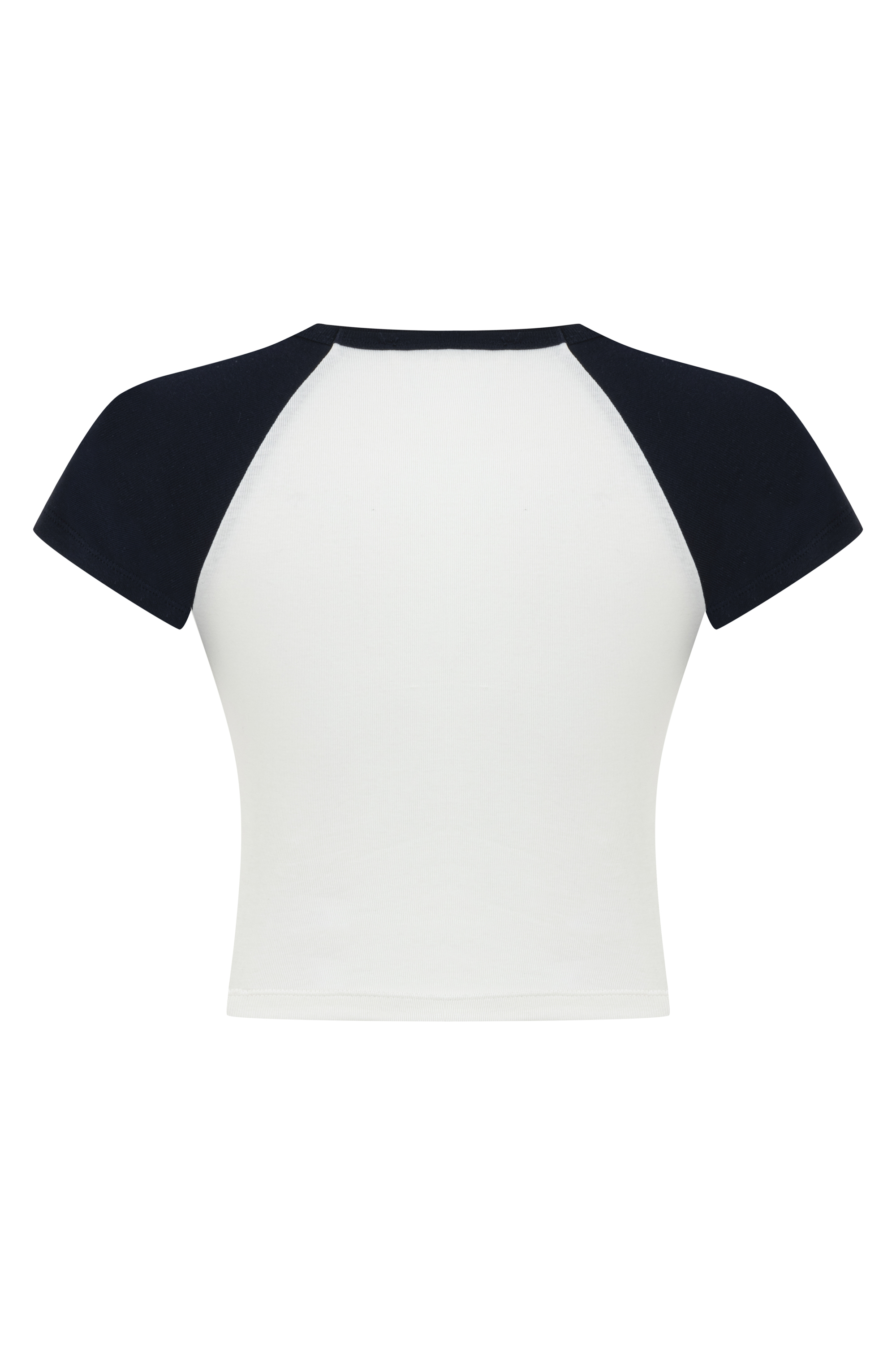 RENK BLOKLU CROP T-SHIRT