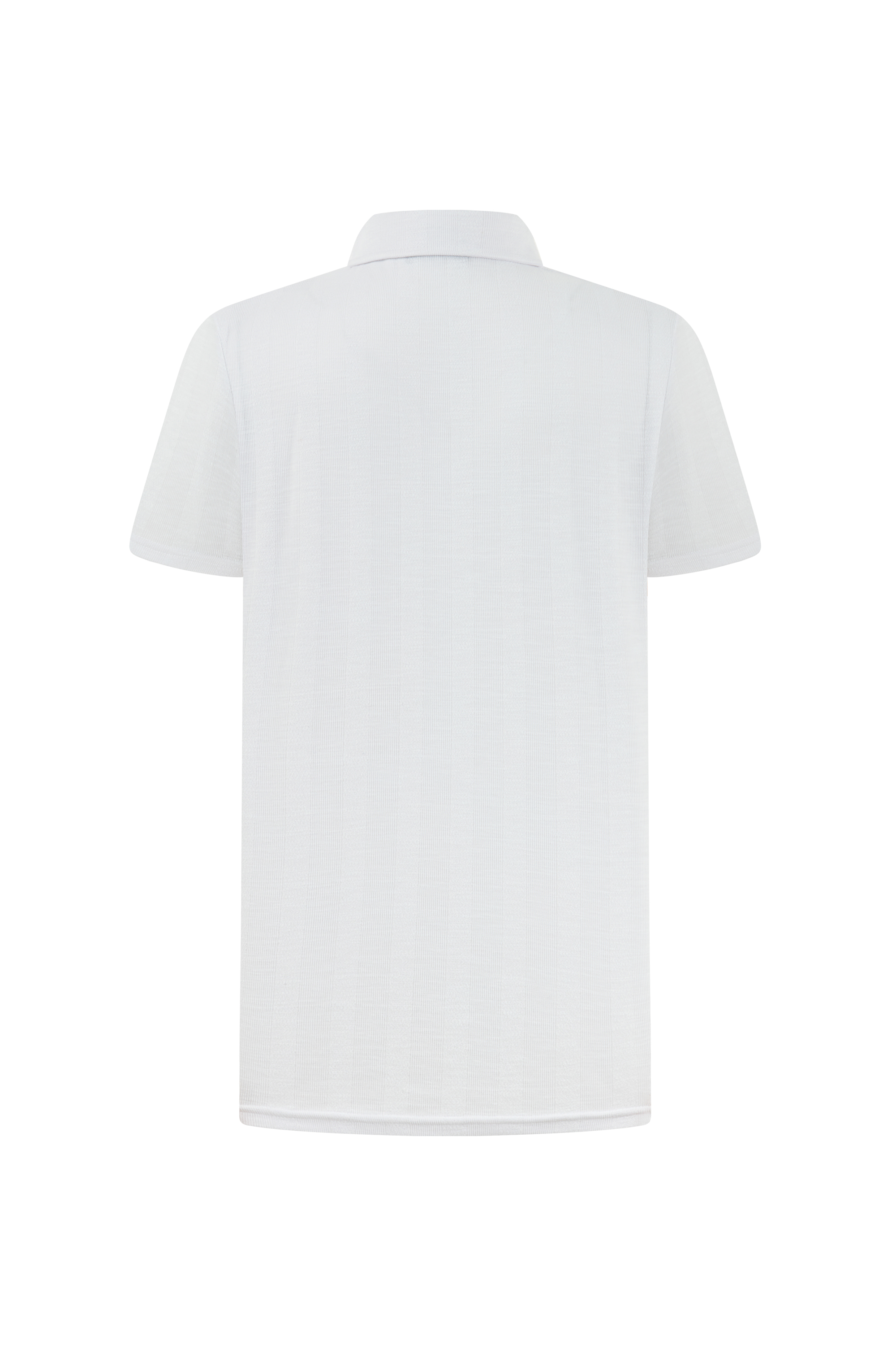 POLO YAKA KISA KOLLU T-SHIRT