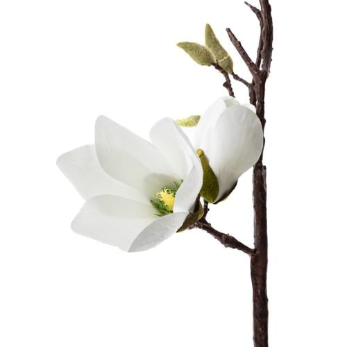 MANOLYA ÇİÇEĞİ BEYAZ 67CM