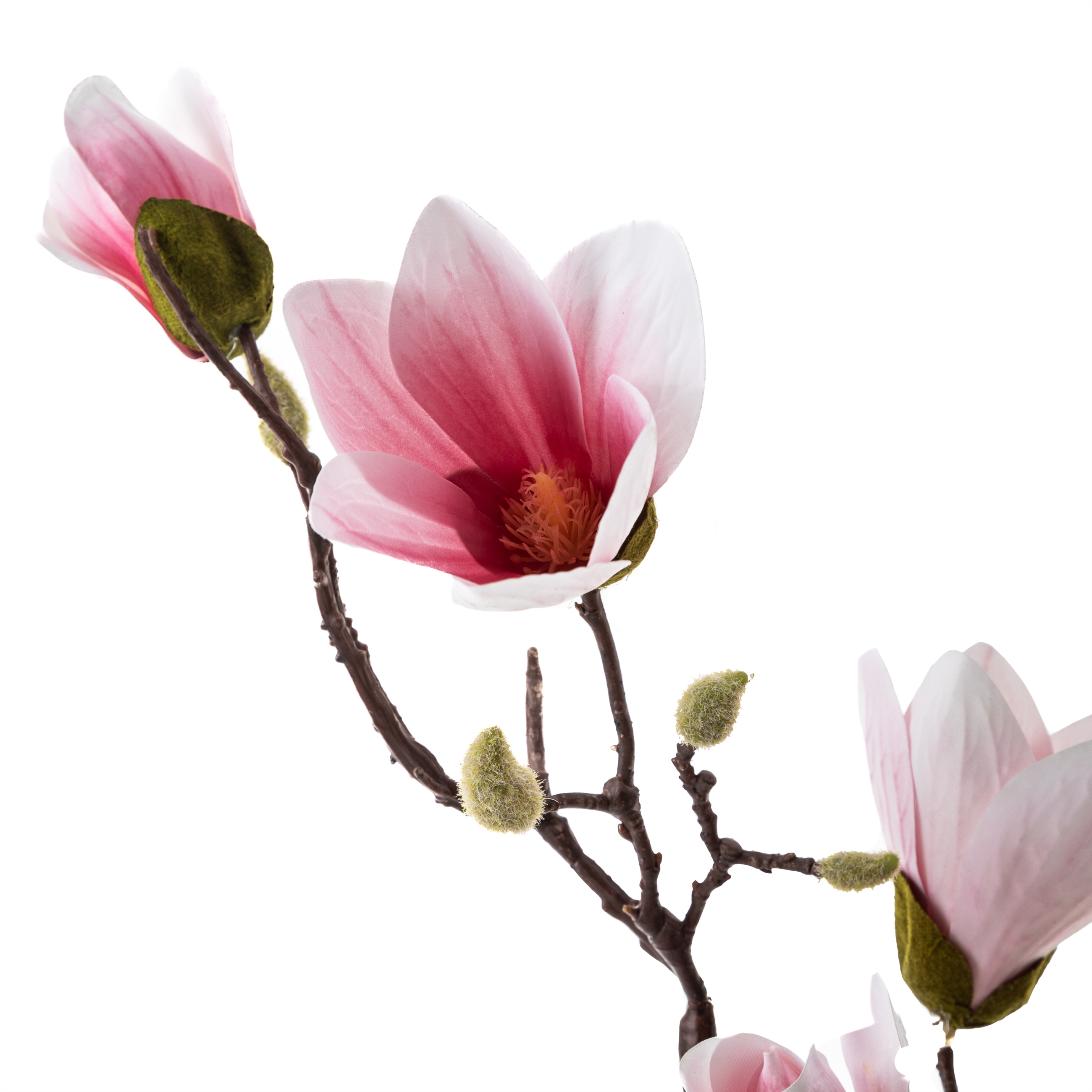 MANOLYA ÇİÇEĞİ PEMBE 67CM