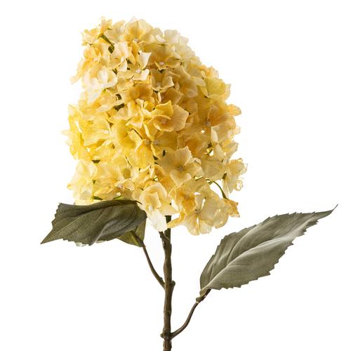 ORTANCA KURUTULMUŞ ÇİÇEK BEYAZ 84CM