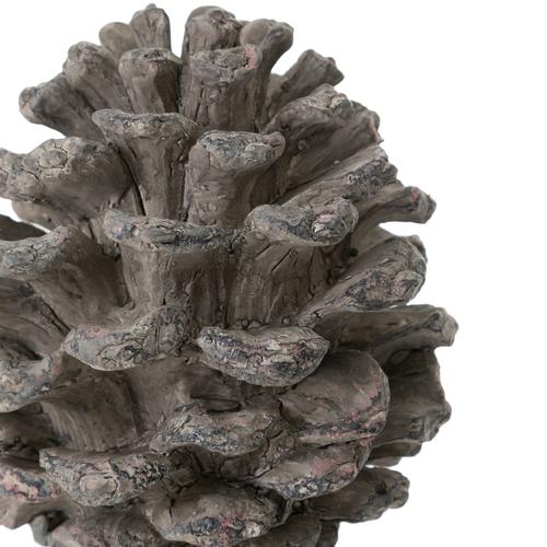  PINE CONE BİBLO 18X17X27 CM
