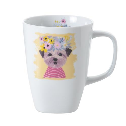  TROPLICAL LEO & PUPPY 2'LI KUPA