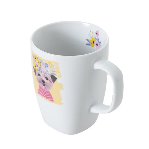  TROPLICAL LEO & PUPPY 2'LI KUPA