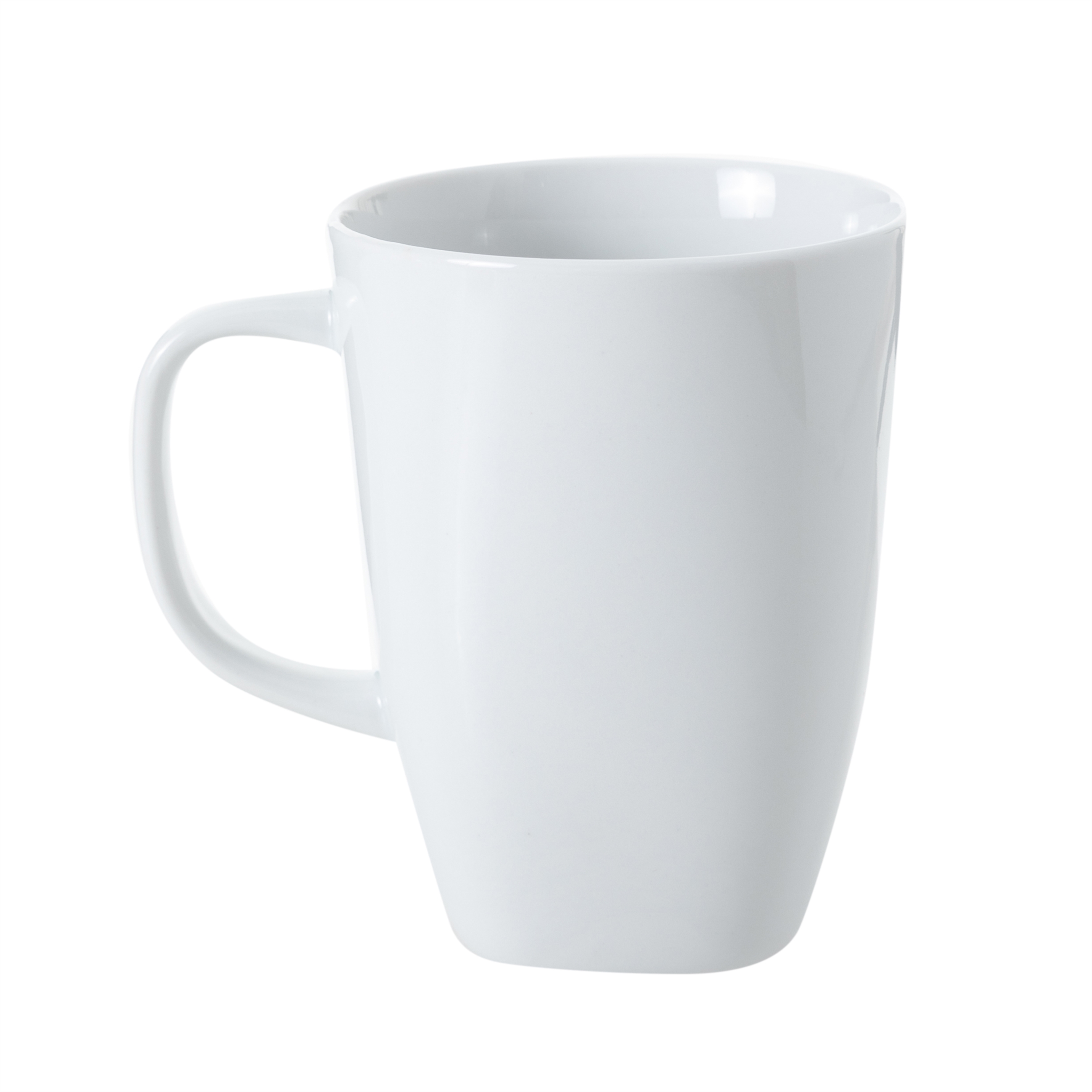 TROPLICAL LEO & PUPPY 2'LI KUPA