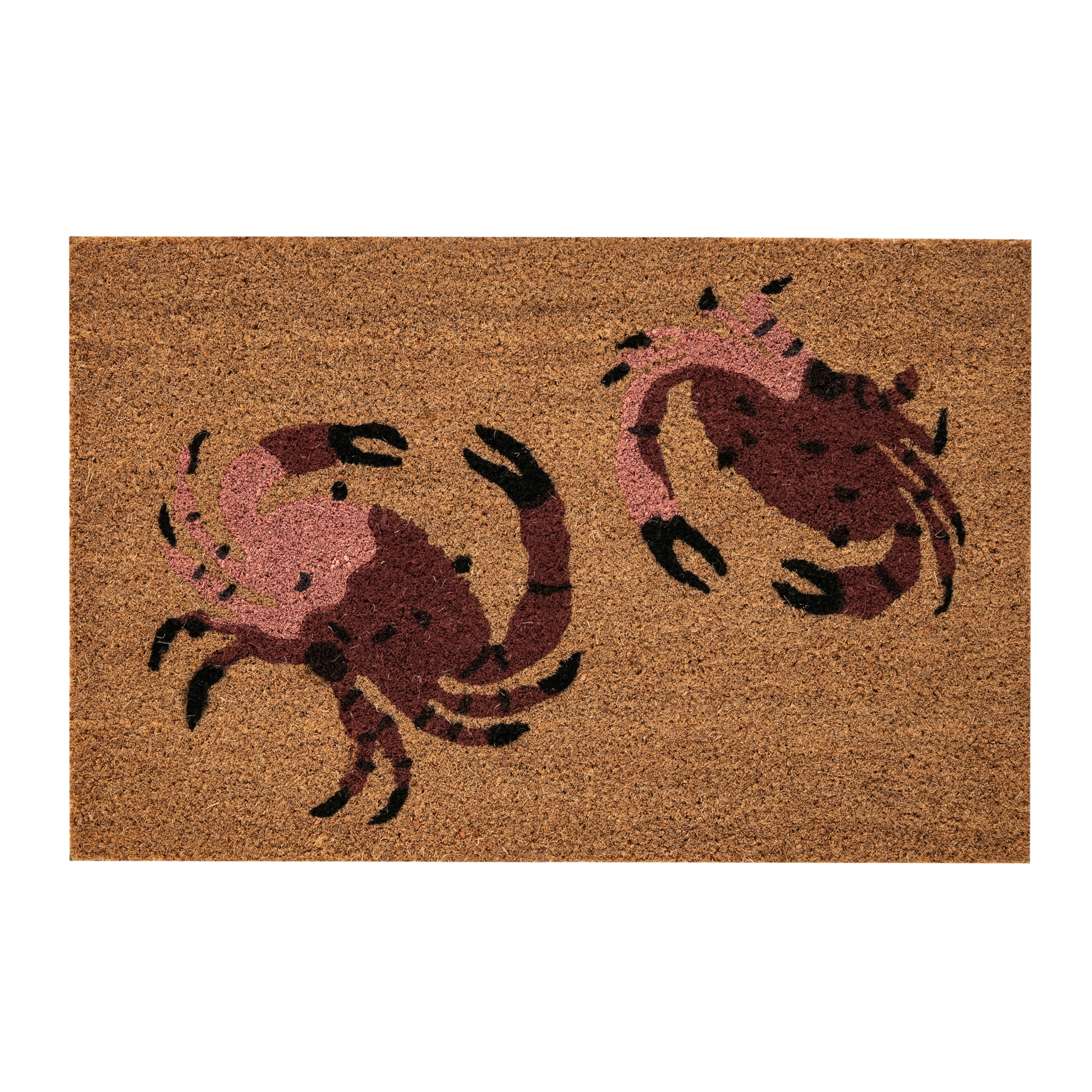 CRAB KAPI PASPASI 40X60