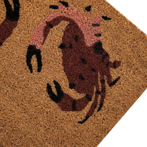  CRAB KAPI PASPASI 40X60