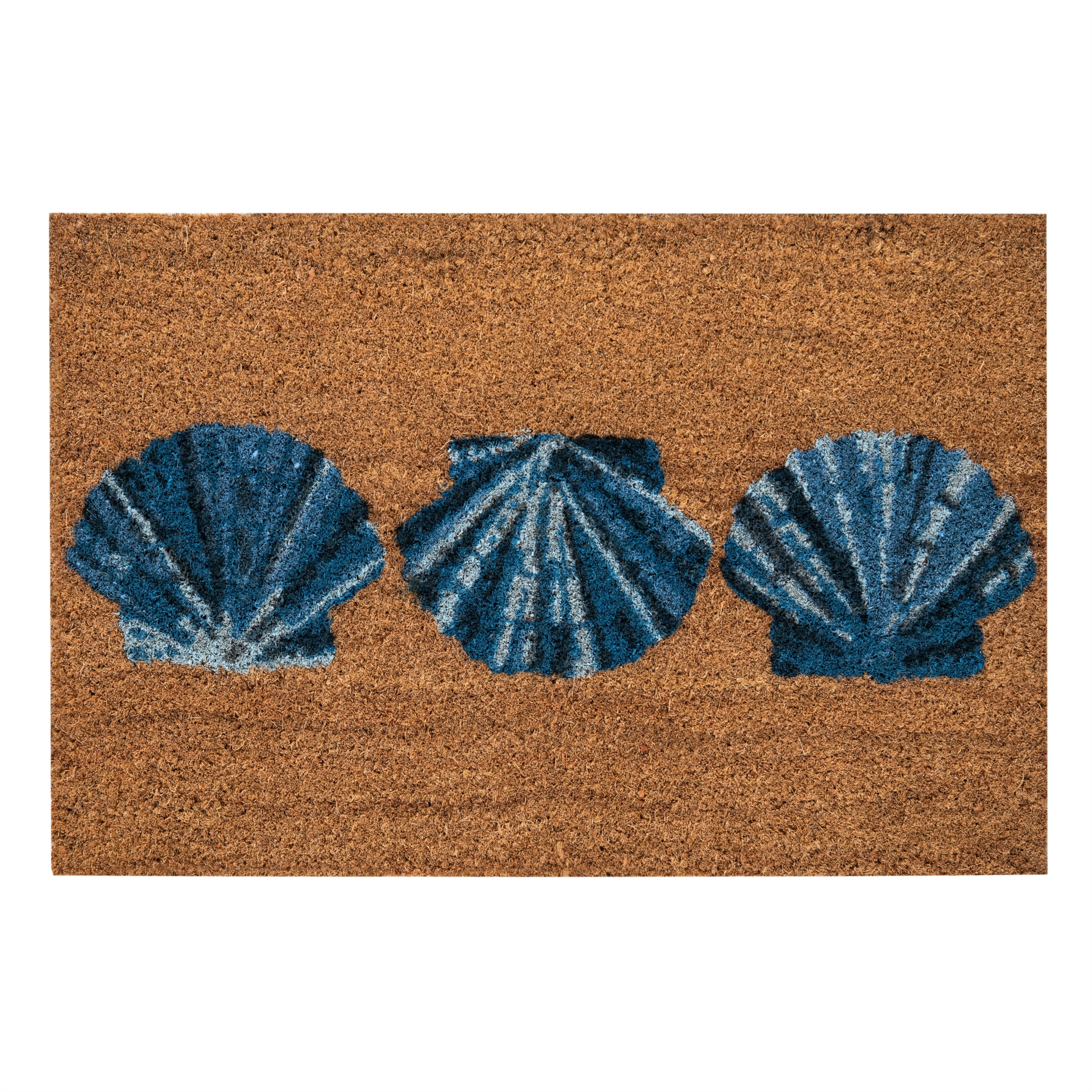 SEA SHELL KAPI PASPASI 40X60