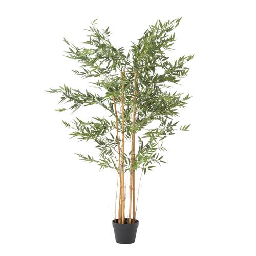  LORA BAMBU AĞACI 150 CM