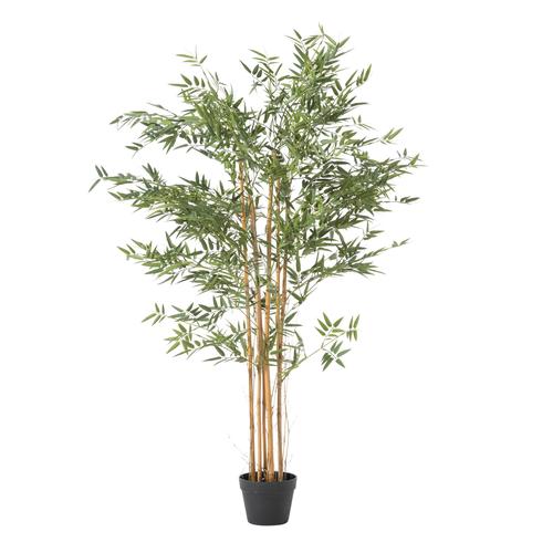  LORA BAMBU AĞACI 150 CM