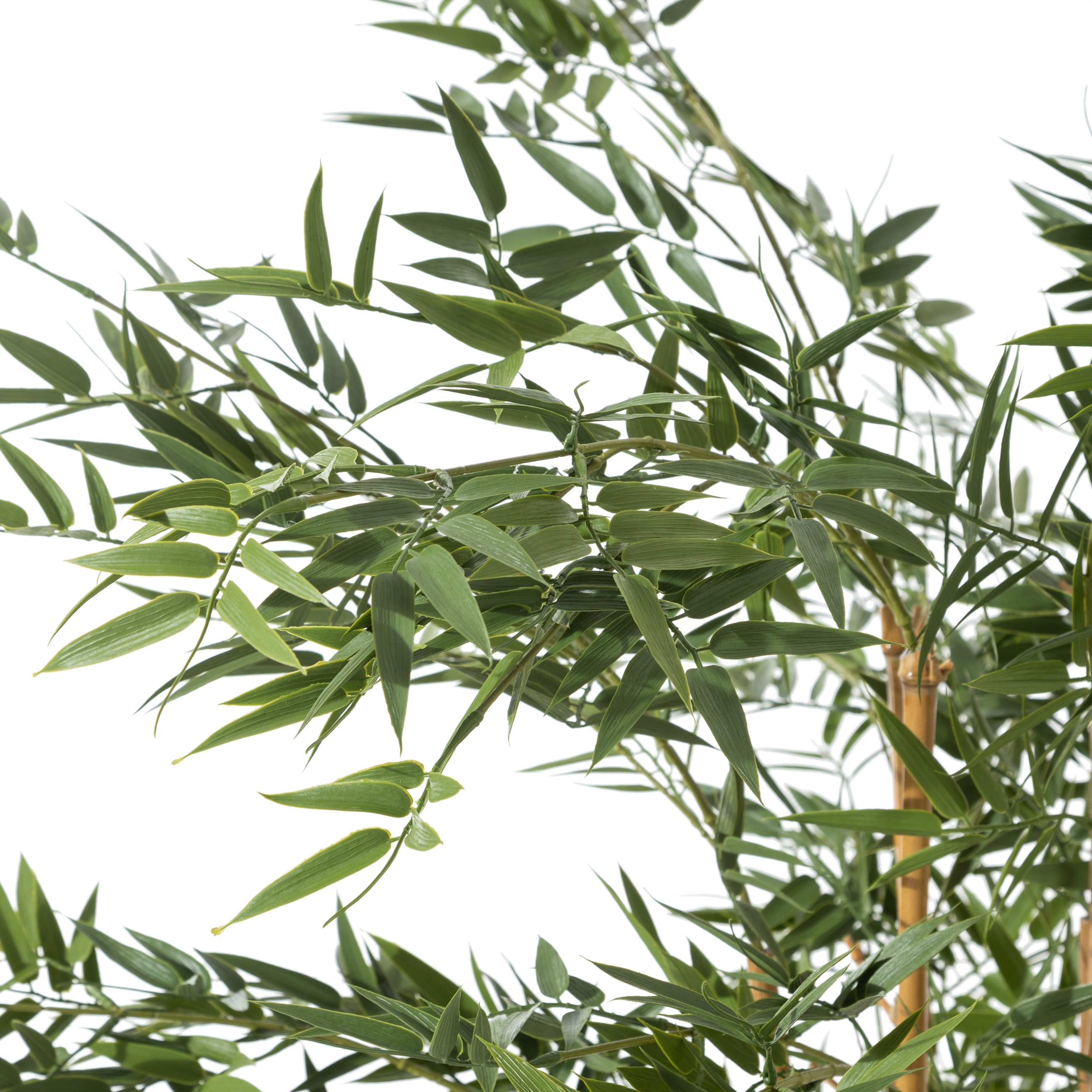 LORA BAMBU AĞACI 150 CM