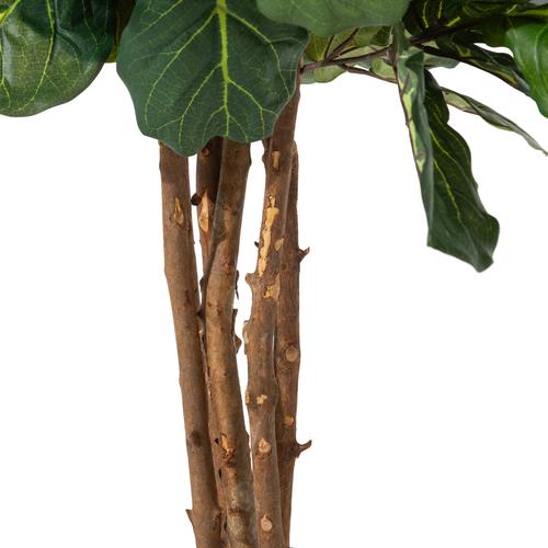  RENA FICUS LYRATA AĞACI 120 CM