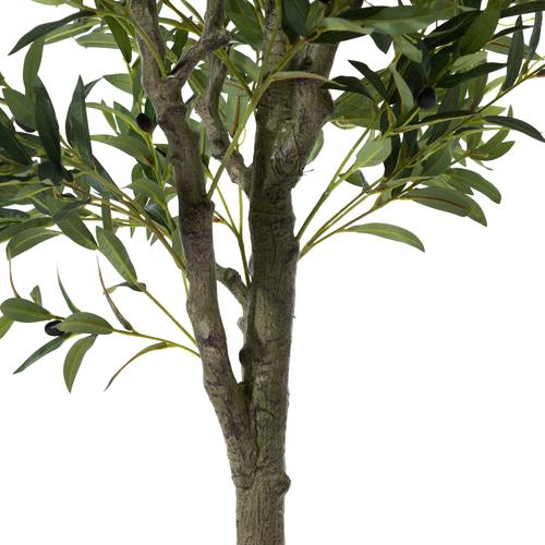  OLIVERA ZEYTİN AĞACI 180 CM