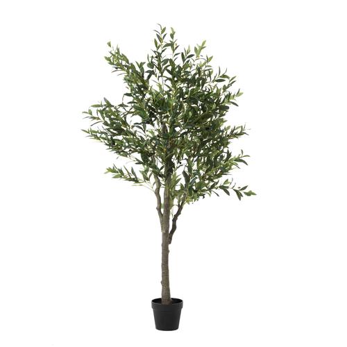  OLIVERA ZEYTİN AĞACI 180 CM