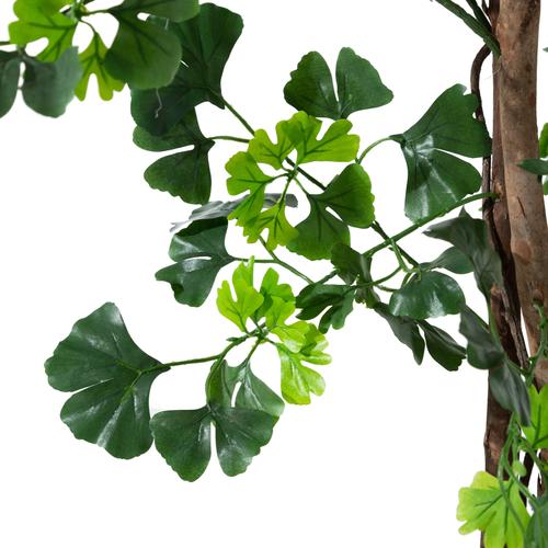  GINKGO AĞACI 185 CM