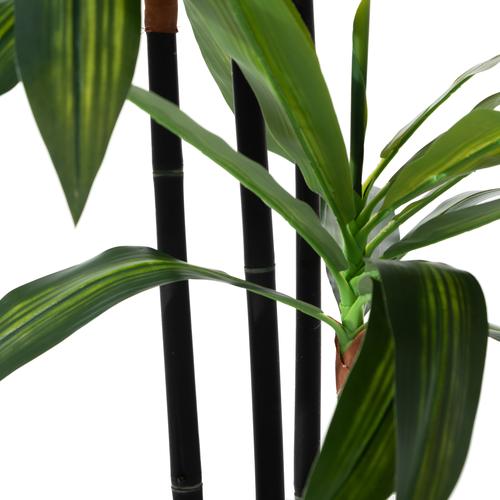  DRACAENA REFLEXA AĞACI 120 CM