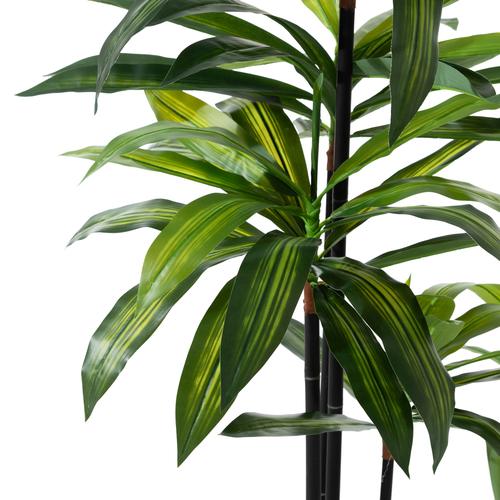  DRACAENA REFLEXA AĞACI 120 CM