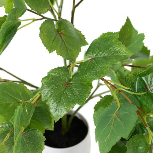 GRAPE VINE AĞACI 70 CM