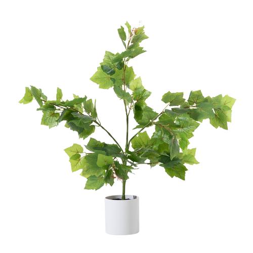 GRAPE VINE AĞACI 70 CM