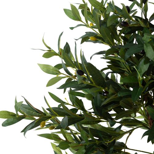  OLIVERA ZEYTİN AĞACI 140 CM