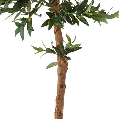  OLIVERA ZEYTİN AĞACI 140 CM