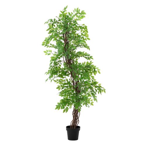  ANTONI JAPON FICUS AĞACI 180 CM