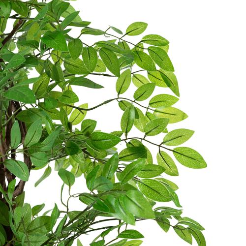  ANTONI JAPON FICUS AĞACI 180 CM