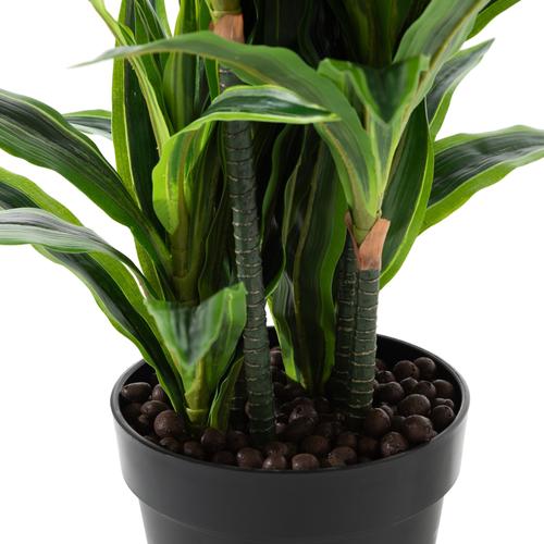 DRACAENA REFLEXA AĞACI 90 CM
