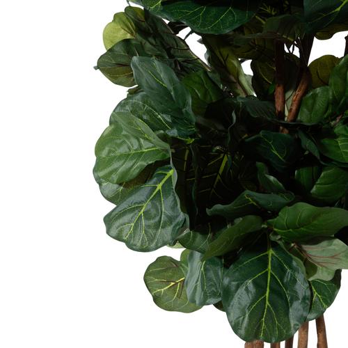  RENA FICUS LYRATA AĞACI 180 CM