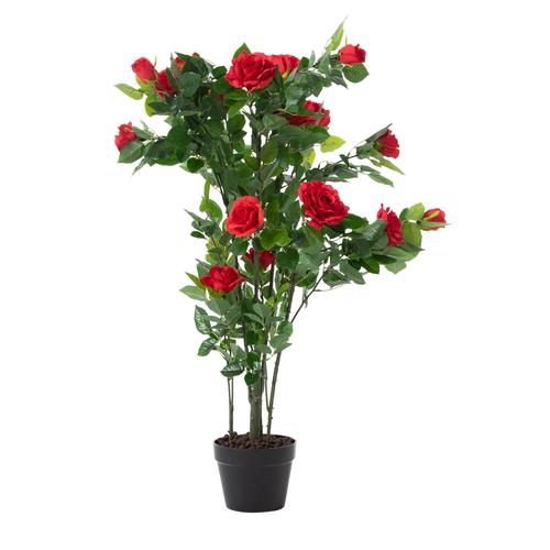  ROZALIN GÜL AĞACI 125 CM