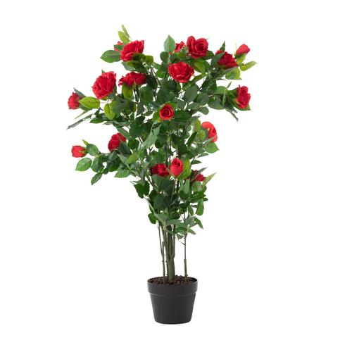  ROZALIN GÜL AĞACI 125 CM