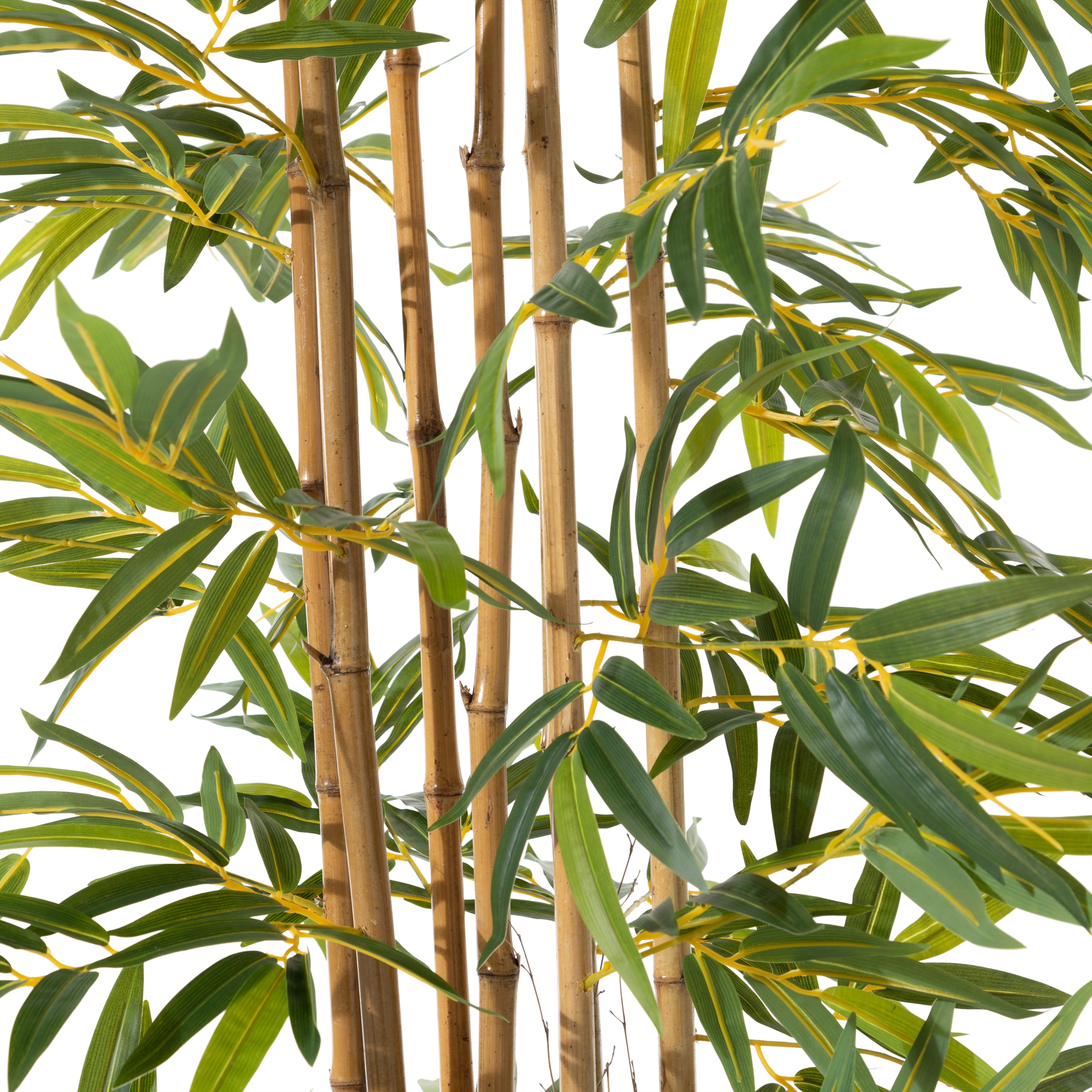 LORA BAMBU AĞACI 180 CM