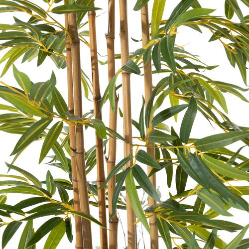  LORA BAMBU AĞACI 180 CM