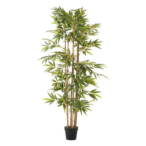  LORA BAMBU AĞACI 180 CM
